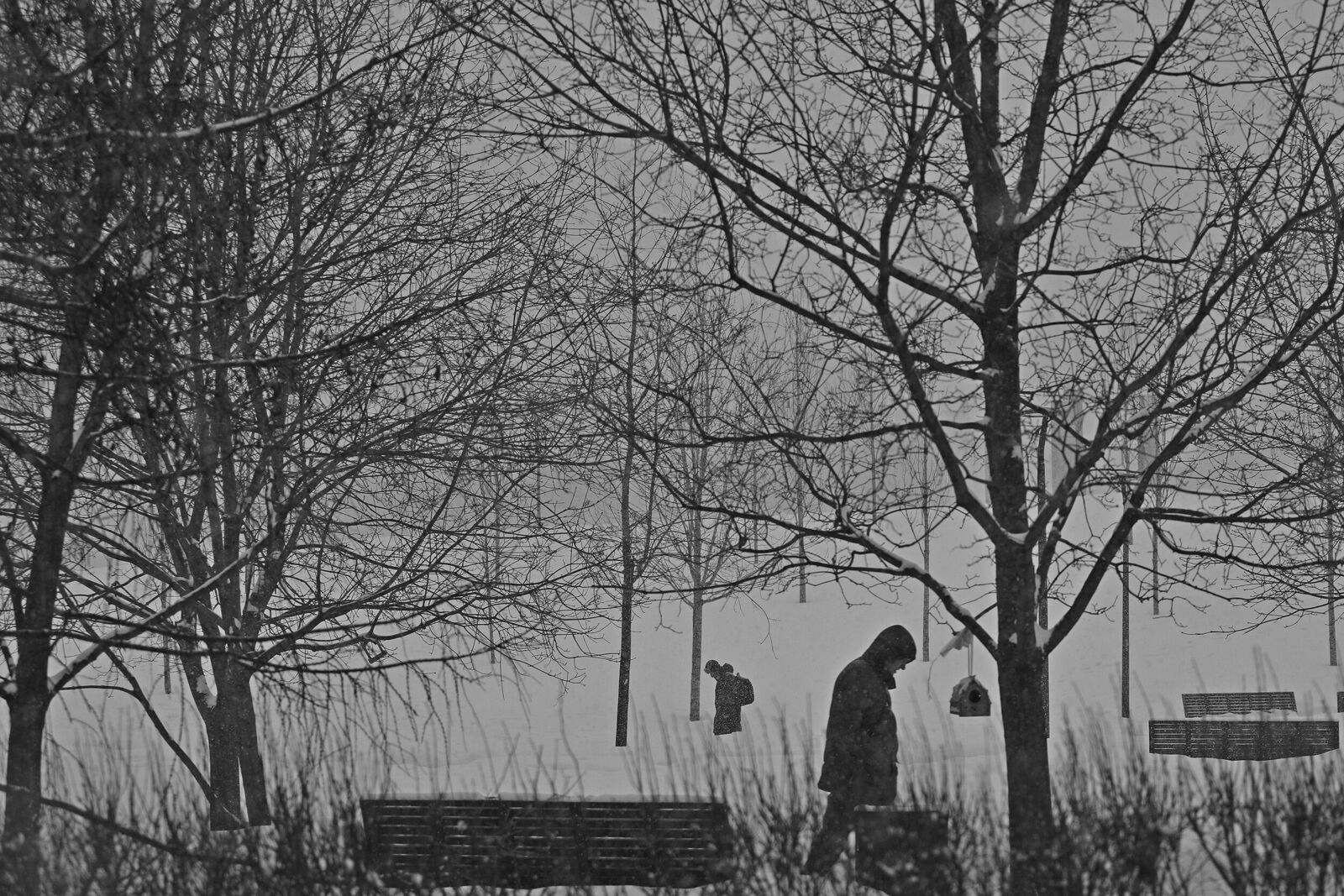 . Черно-белое. Без названия
