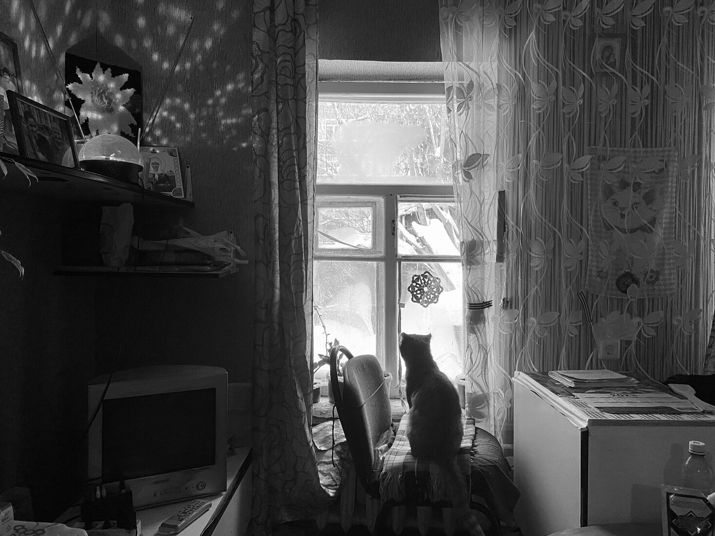 . Черно-белое. Без названия
